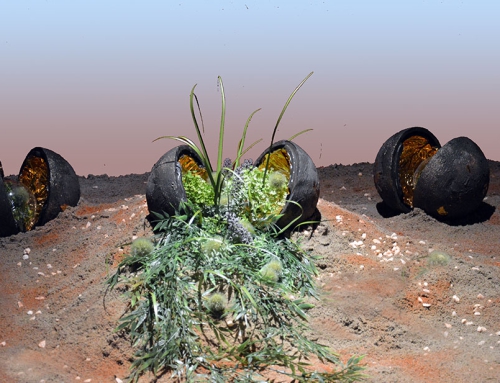 The EarthSeeds Project