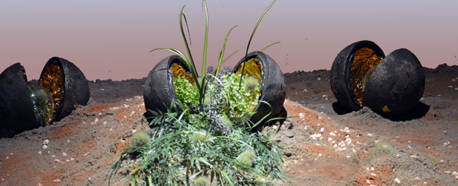 Earth Seeds
